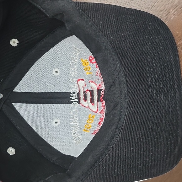 NASCAR #3 Racing Champion Cap Hat Dale Earnhardt 1951-2001 Velcro - Picture 4 of 4
